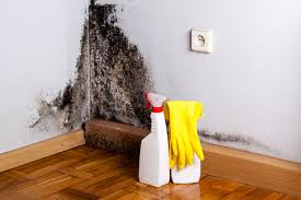 Best Environmental Consulting for Mold Prevention in Pottsville, PA